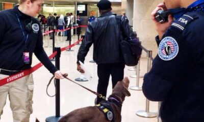 TSA Orders Retraining In Wake of Racial Profiling