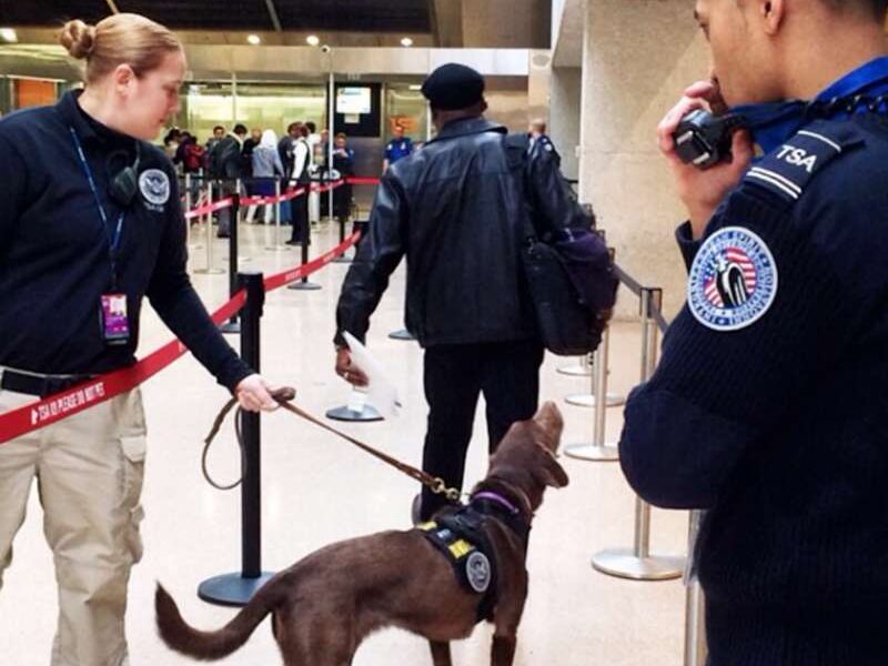 TSA Orders Retraining In Wake of Racial Profiling