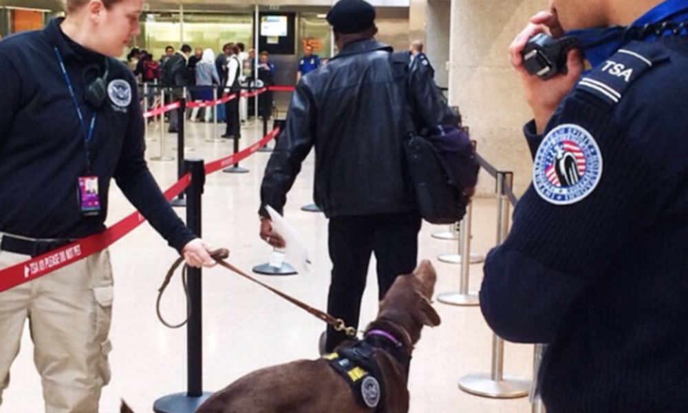 TSA Orders Retraining In Wake of Racial Profiling