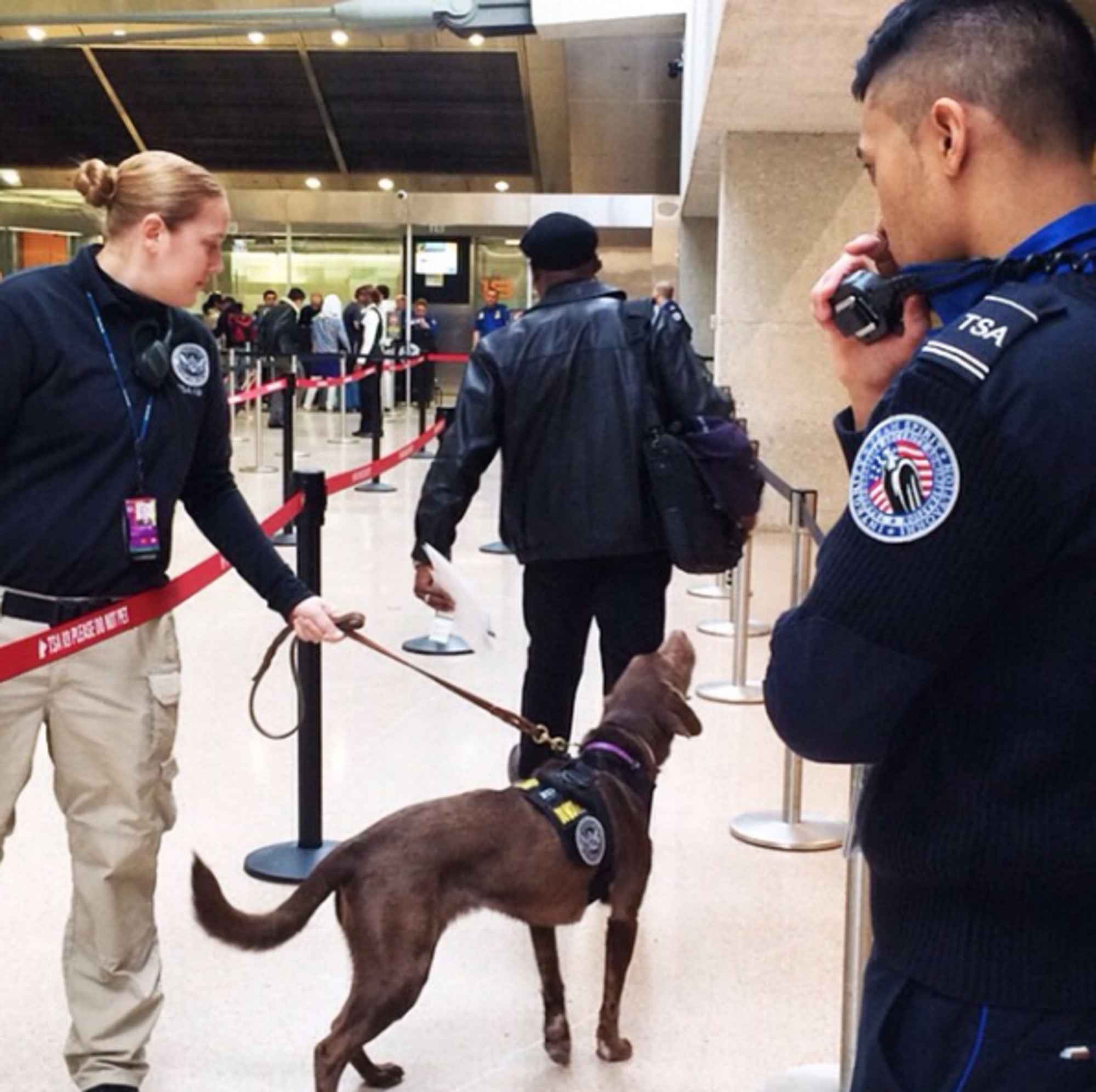 TSA Orders Retraining In Wake of Racial Profiling