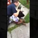 pregant woman punched by Rochester NY Police Lucas Krull Brenda Hardaway