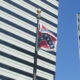 south carolina confederate flag