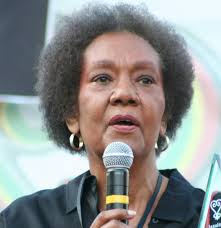 Author and Scholar Dr. Frances Cress Welsing Passes Away
