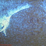 Things On My Mind: Adorable Kid, My Students Artwork, Charles R. Knight, Godzilla vs Kong (Journey to the Center of the Earth, At the Earth's Core, and More), Loch Ness Monster, UFOs, Simone Biles, Sha'Carri Richardson, Tom Lister Jr., Rihanna