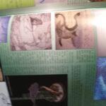 Things on my mind part 3: Women's Army Corps' all-Black 6888th, Harlem Hellfighters, Athing Mu, Lee Kiefer, Anastasija Zolotic, Zaila Avant-garde, students artwork and project in Prehistoric Times Magazine, Michael Clarke Duncan, Apollo Creed, The Rise of Skywalker, Mandalorian,Boba Fett, Altered Beast!