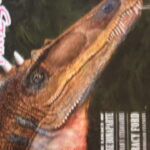 Ghana Session: Sharing Cultures/Also Student Recognitions and Publications