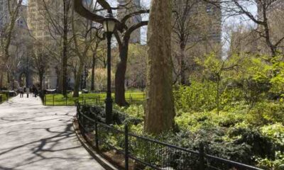 Central Park five
