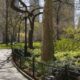 Central Park five