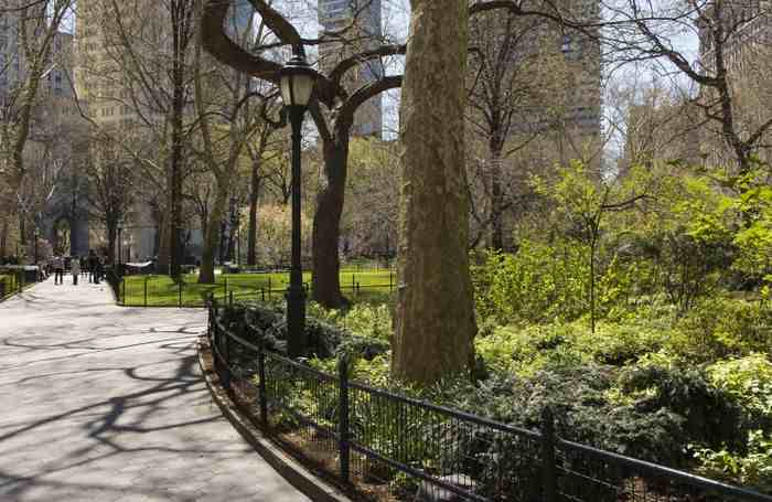 Central Park five
