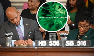 Maryland marijuana convictions pardon