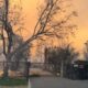 Altadena neighborhood Los Angeles wildfire