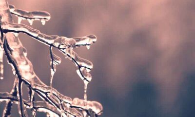 homeless siblings froze to death