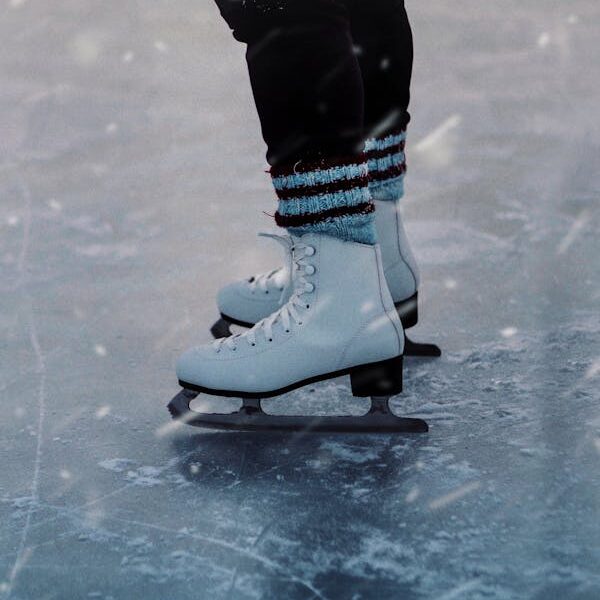 Black-owned ice rink and skating museum