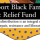 Black wealth redistribution Gofundme fundraiser