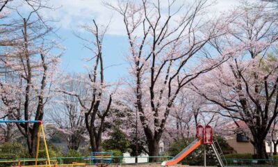 woman racist slur at Black child