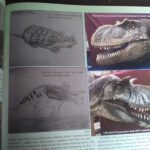 July 2025 Prehistoric Times Magazine