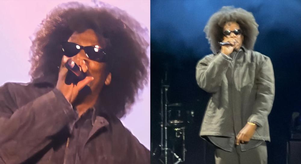 Jay Z The Roots Picnic 2026