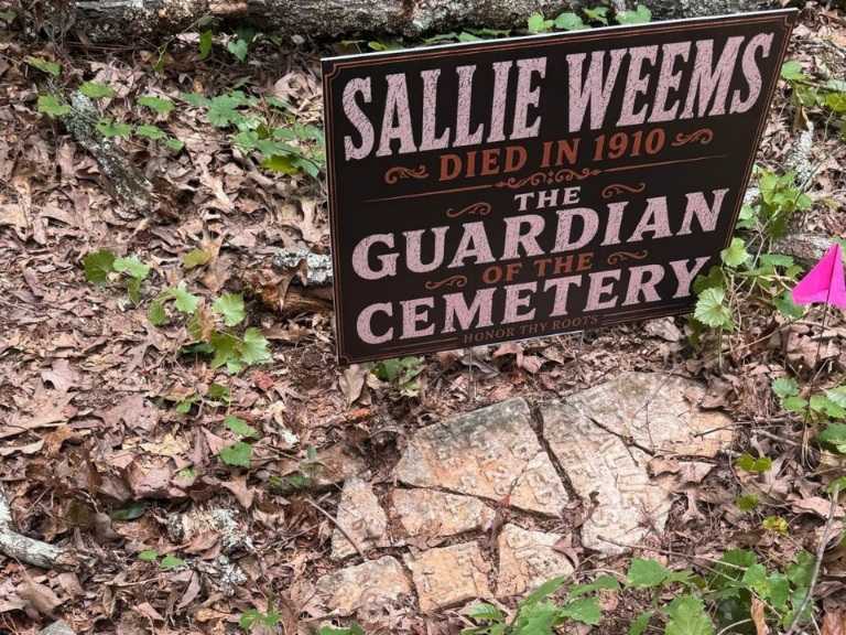 Honor Thy Roots Cemetery Preservation Inc. is working to restore ONeill Cemetery