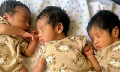 Elio Elias and Enzo California rare mixed triplets