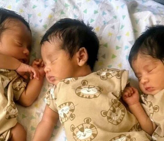 Elio Elias and Enzo California rare mixed triplets