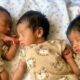 Elio Elias and Enzo California rare mixed triplets