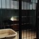 Texas prison air conditioning Eighth Amendment lioness v lumpkin